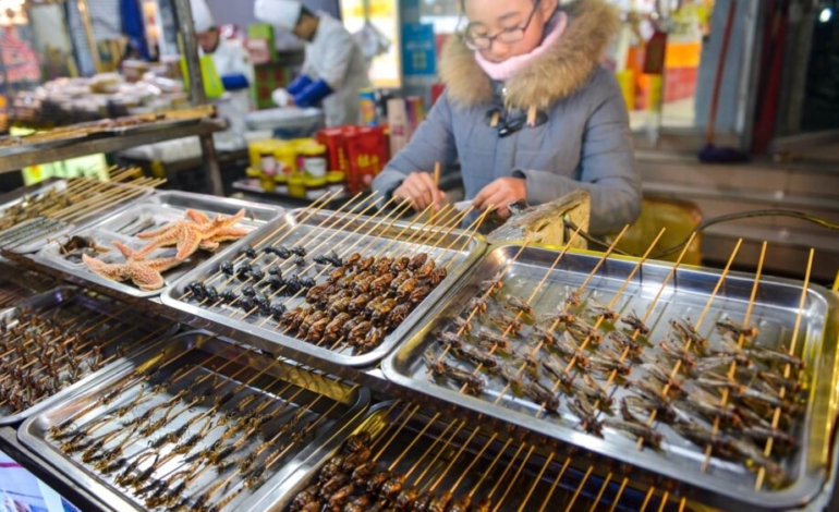 ¿por-que-en-europa-casi-no-comemos-insectos?