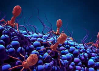 Así es la terapia con bacteriófagos frente a infecciones multirresistentes en heridas de guerra
