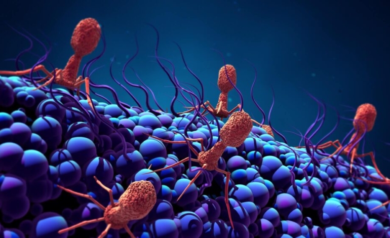 asi-es-la-terapia-con-bacteriofagos-frente-a-infecciones-multirresistentes-en-heridas-de-guerra